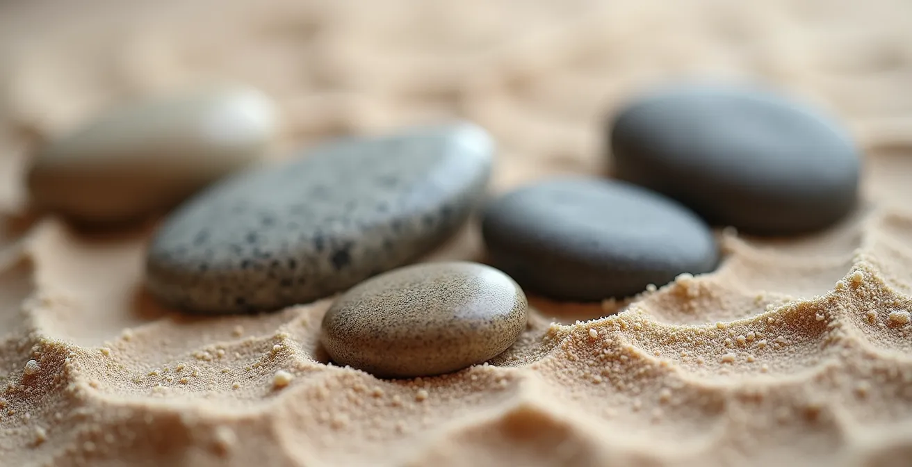 Anatomische Darstellung der Beckenbodenmuskeln mit hervorgehobenen Sitzbeinhöckern